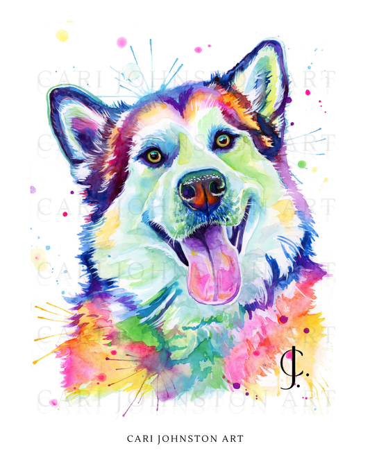 Custom Colourful Pet Portrait
