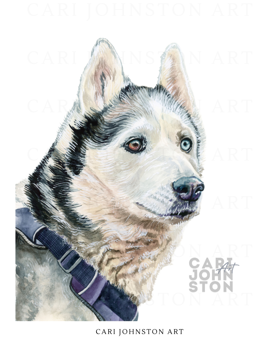 Custom Pet Portrait