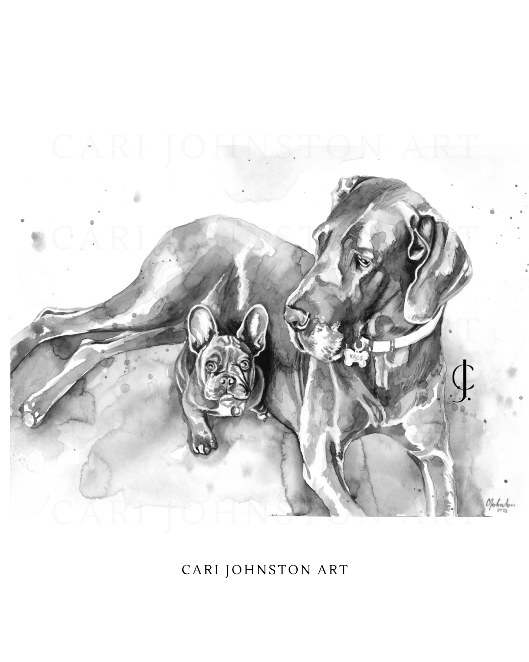 Custom Black and Grey Pet Portrait