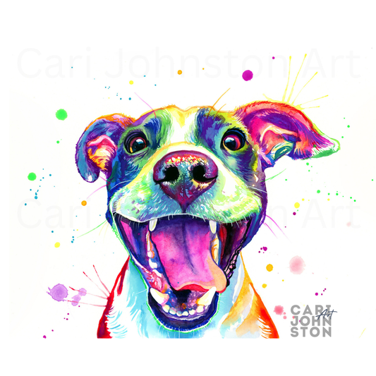 Jasper the American Pitbull Terrier