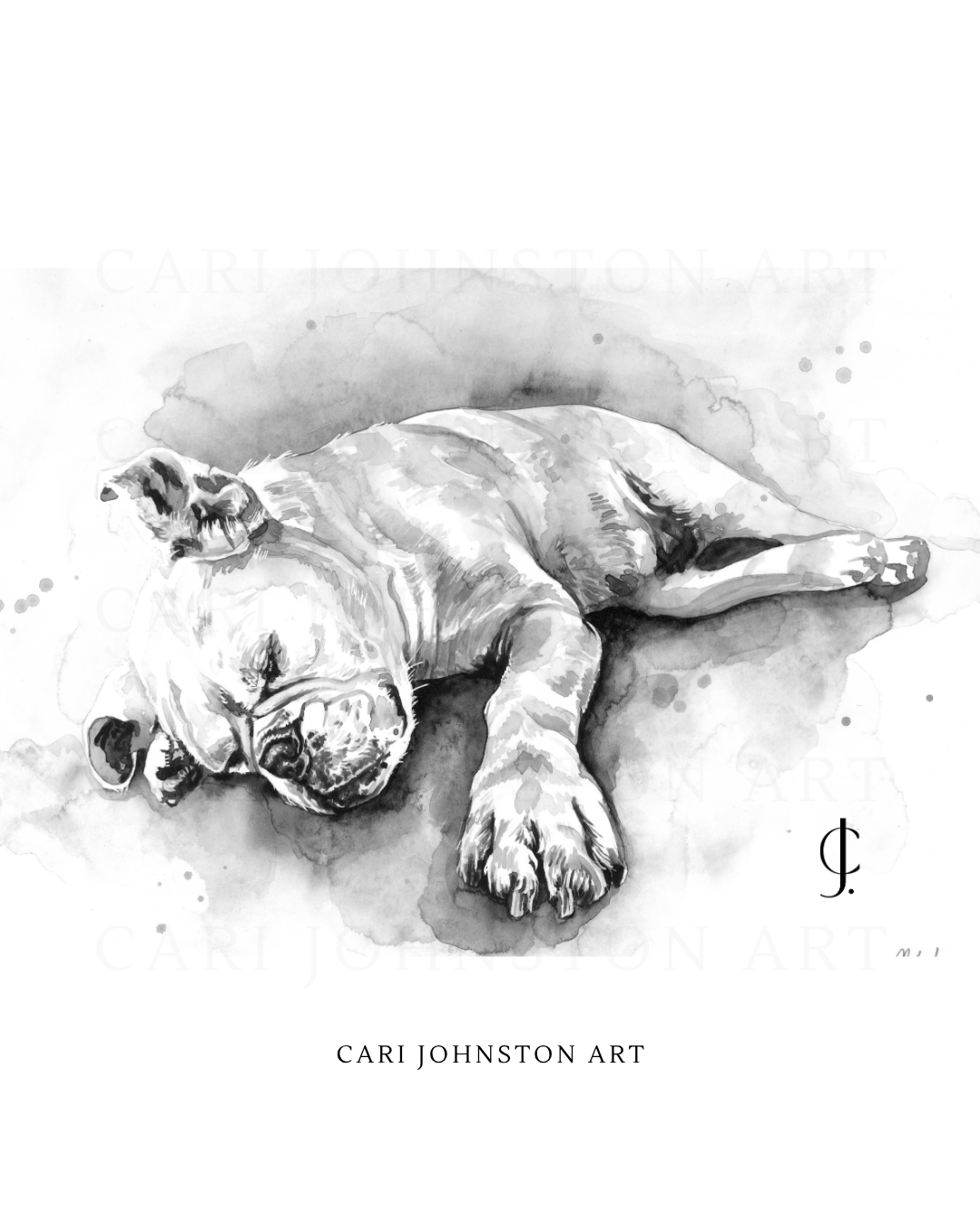 Custom Black and Grey Pet Portrait