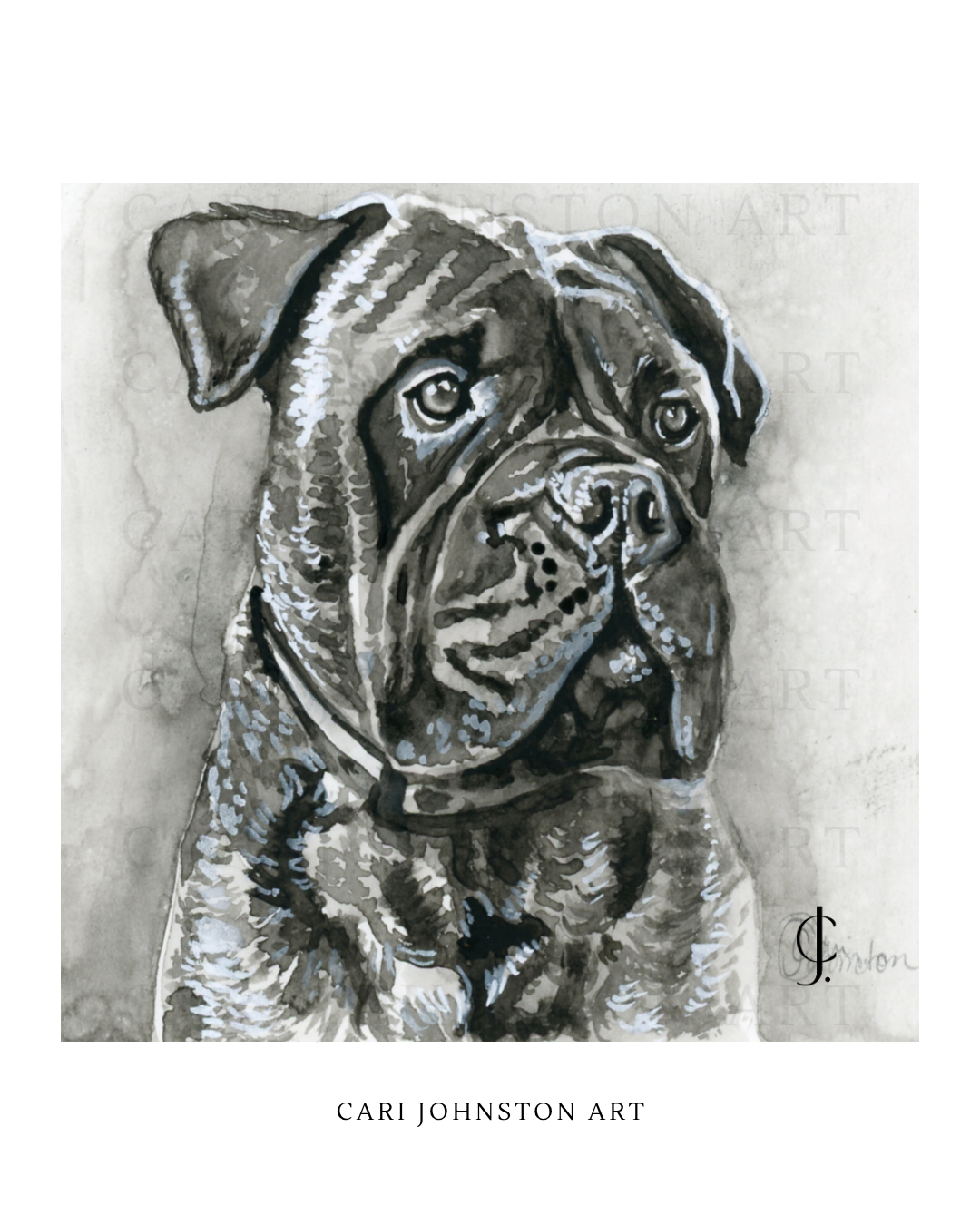 Custom Black and Grey Pet Portrait