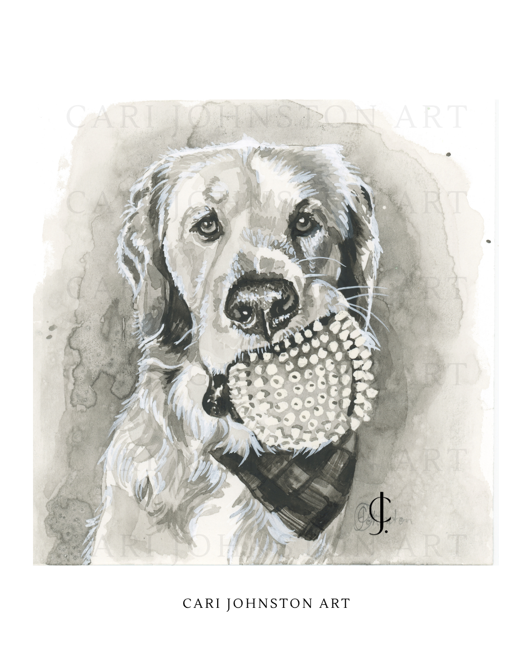 Custom Black and Grey Pet Portrait