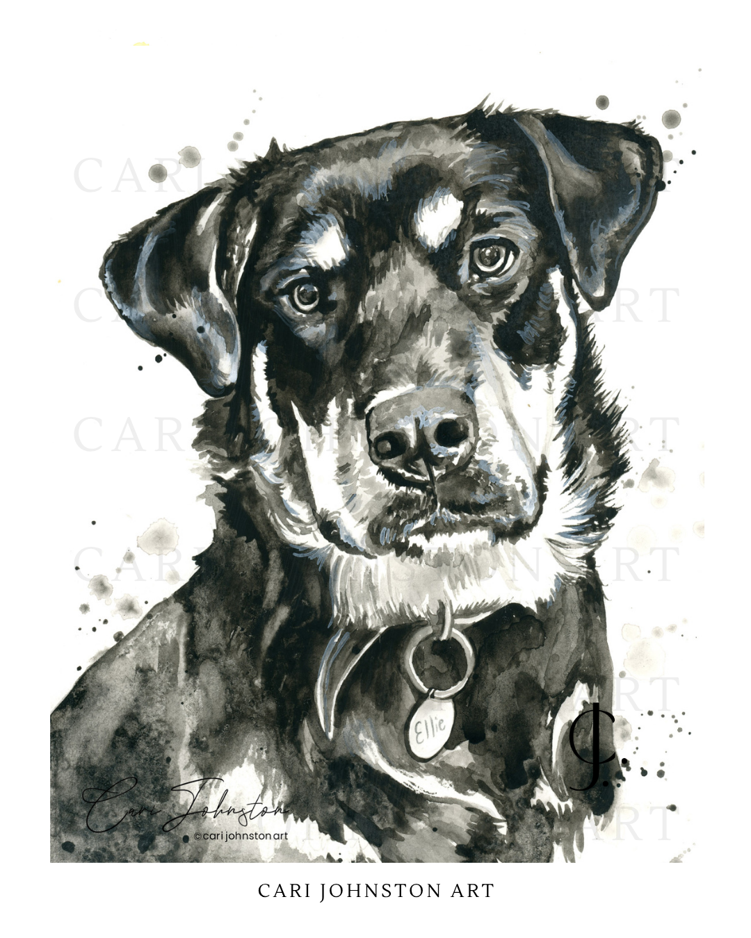 Custom Black and Grey Pet Portrait