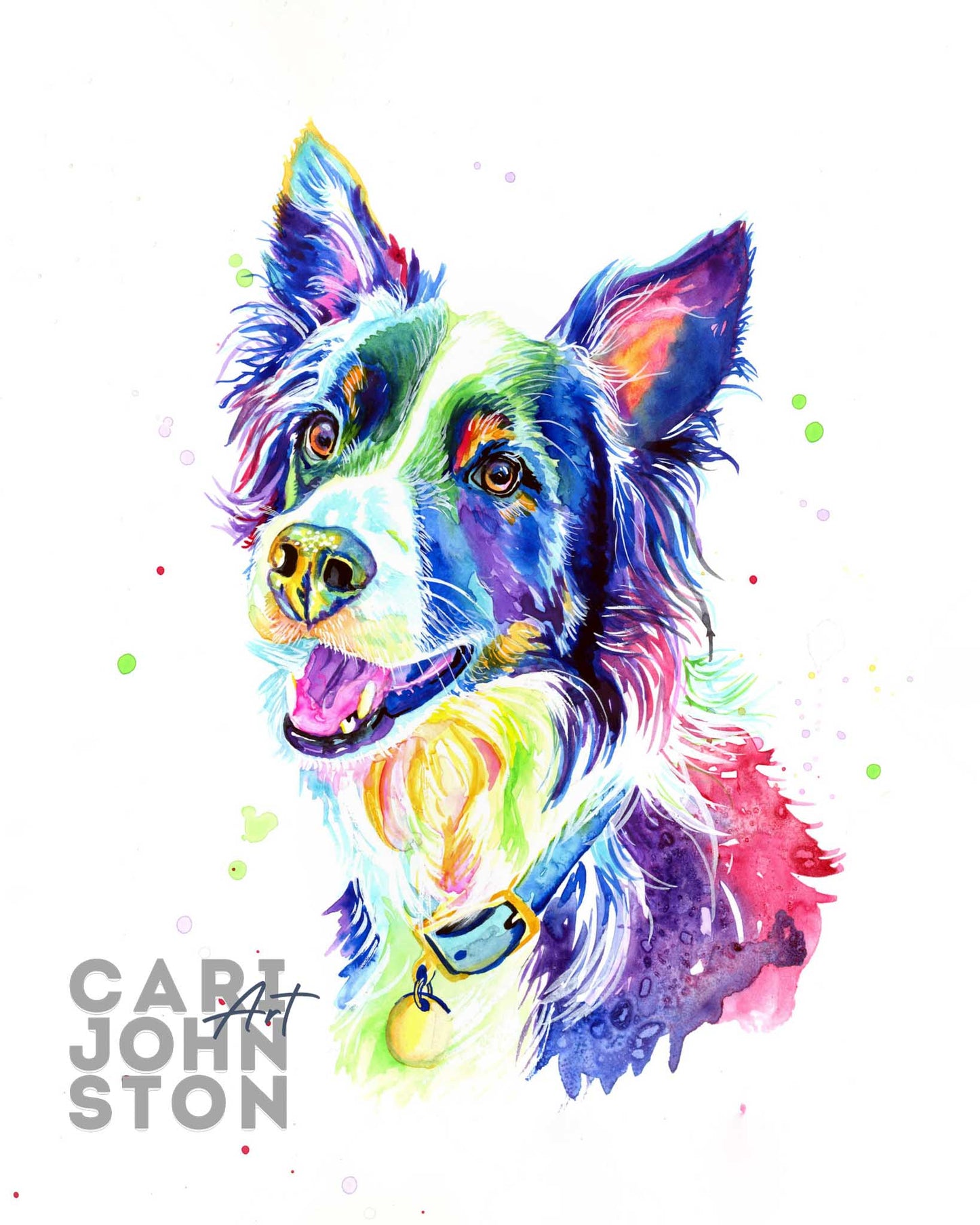 Custom Colourful Pet Portrait