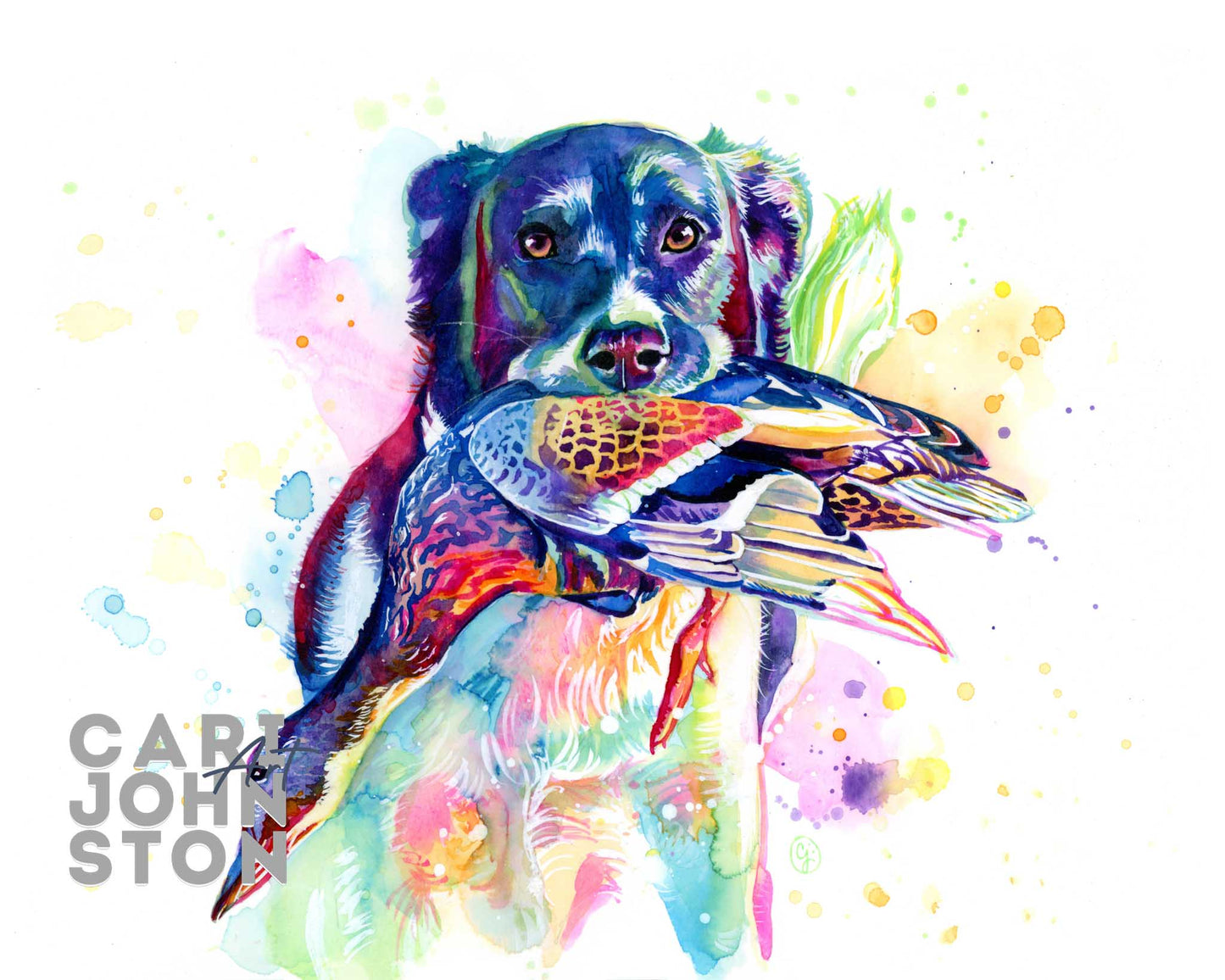 Custom Colourful Pet Portrait