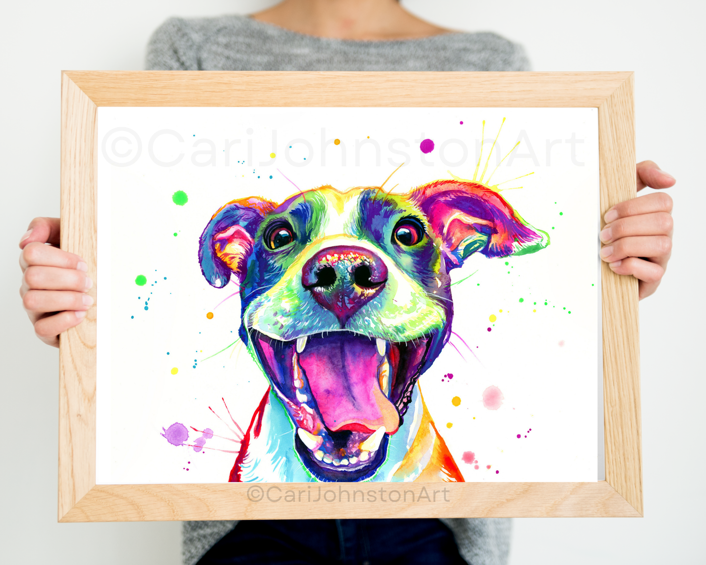 Jasper the American Pitbull Terrier