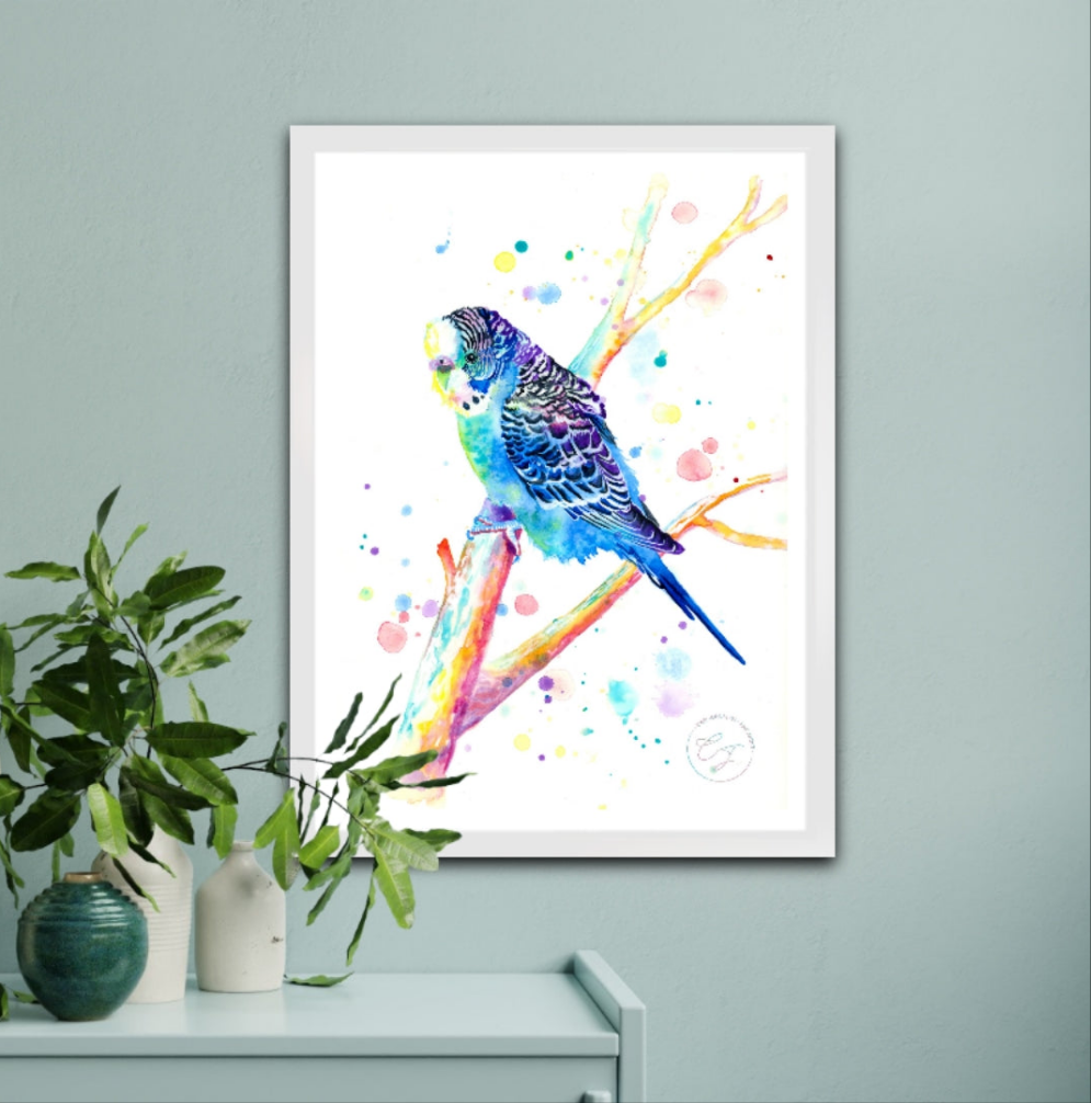 Budgie Print