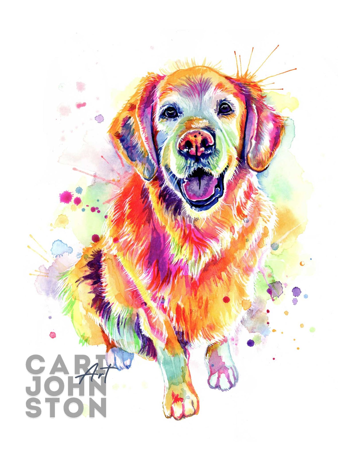 Custom Colourful Pet Portrait