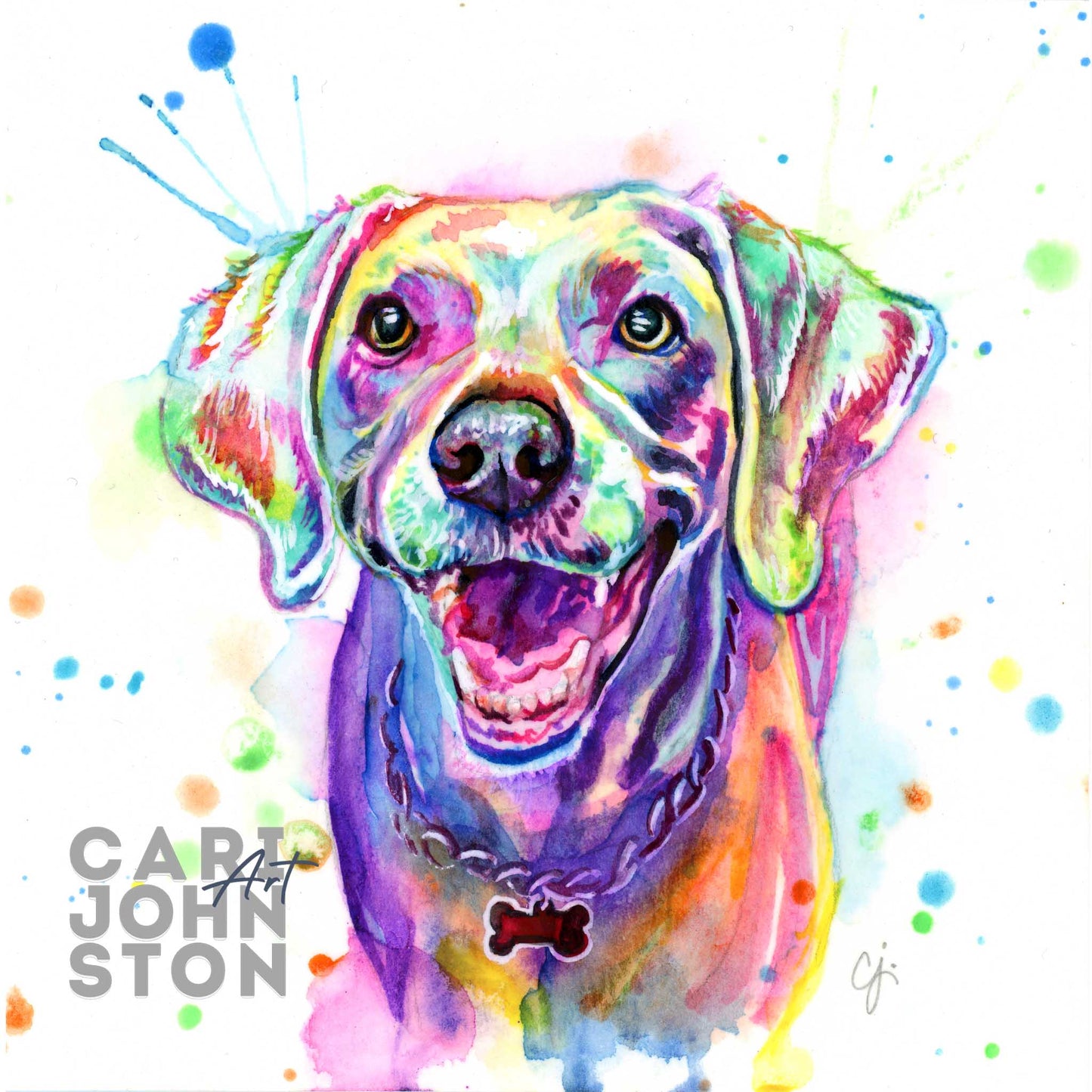 Custom Colourful Pet Portrait