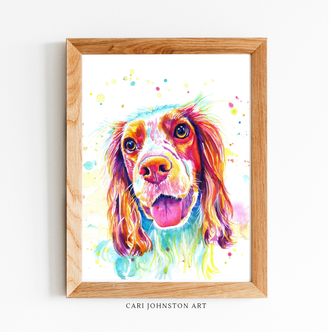 Sprocker Spaniel Print