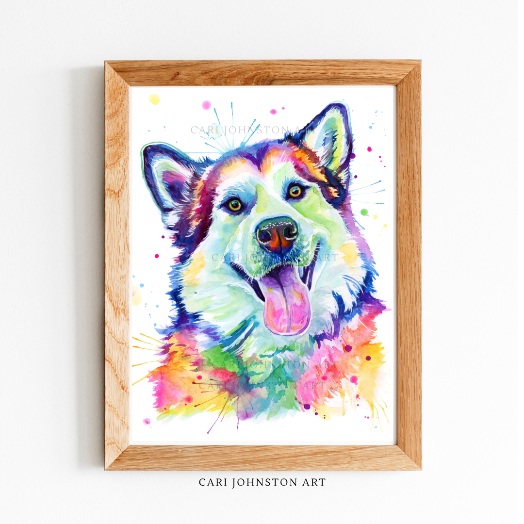 Timber the Alaskan Malamute Print