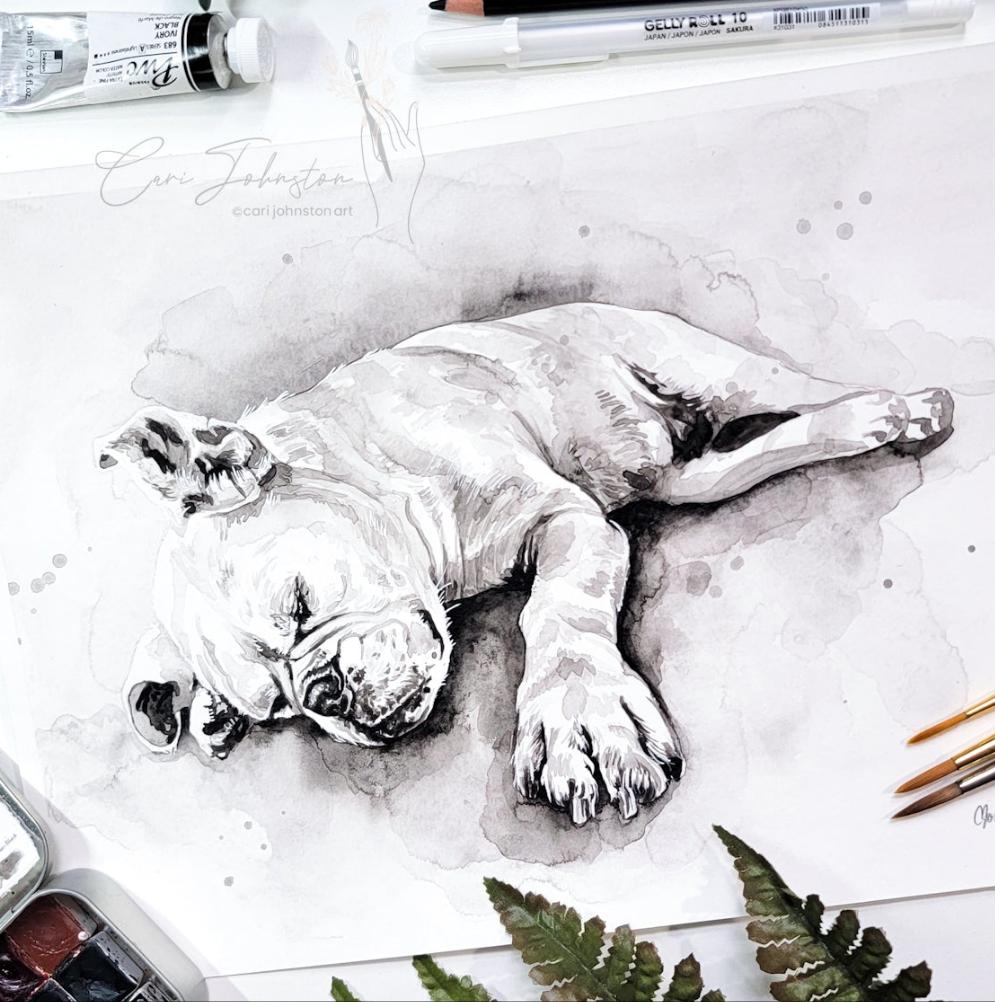 Custom Black and Grey Pet Portrait