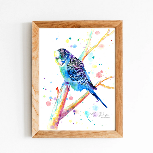 Budgie Print