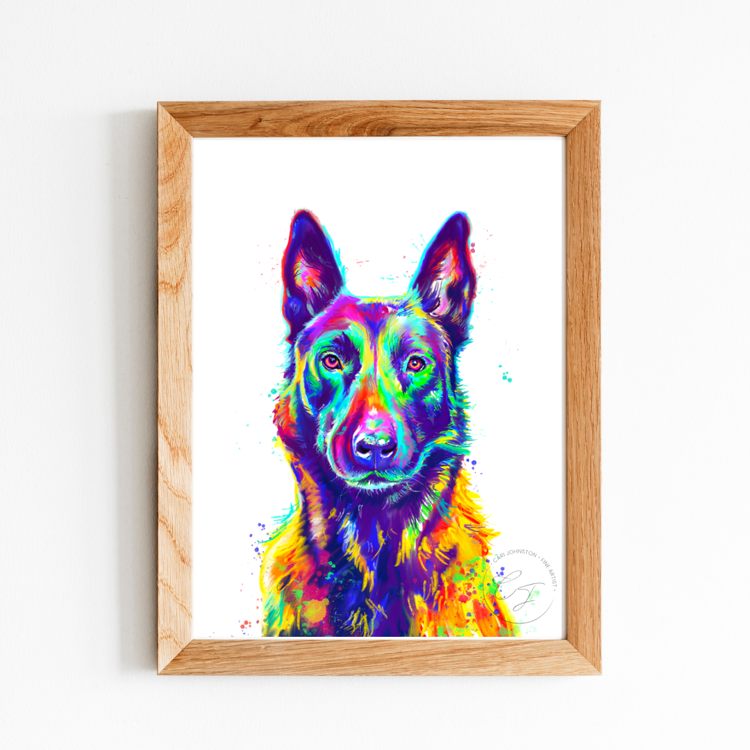 Belgian Malinois Print