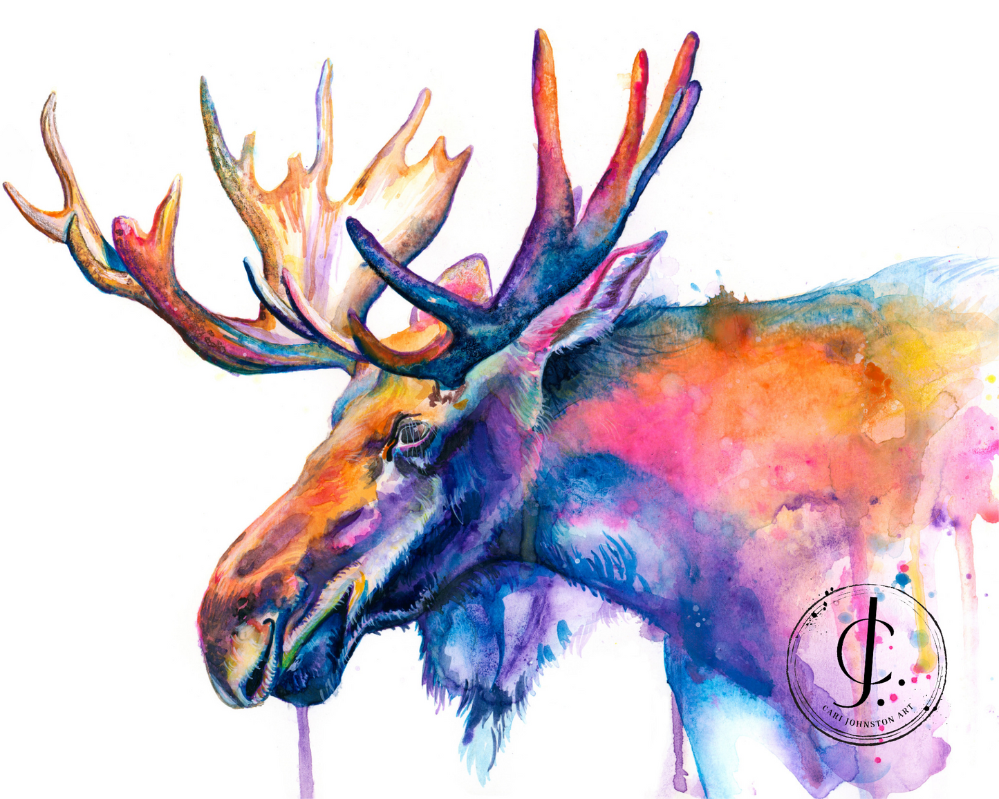 Moose Print