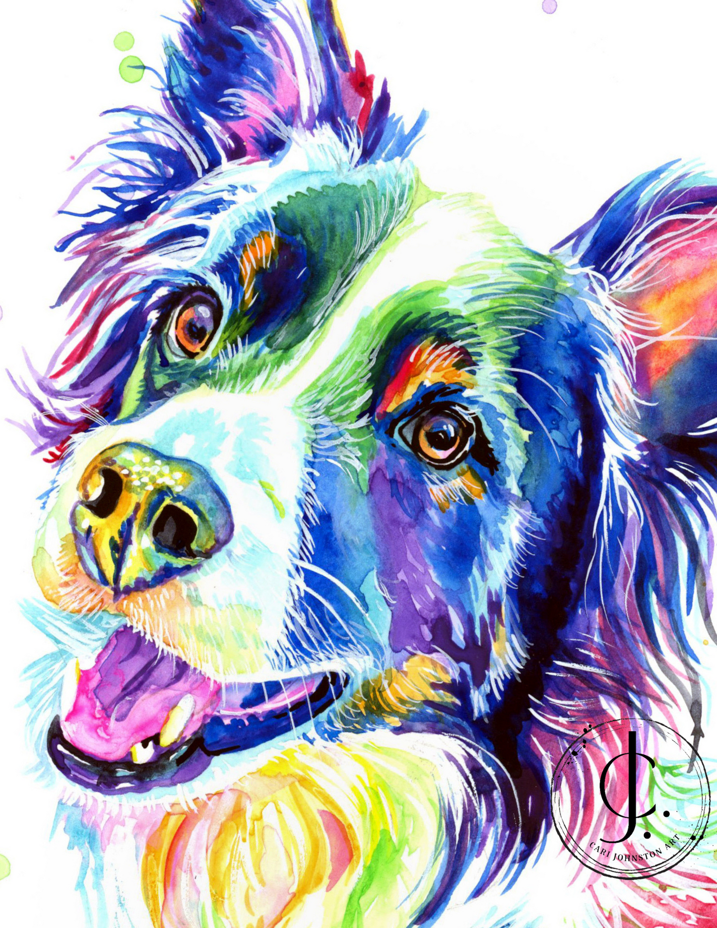 Border Collie Print