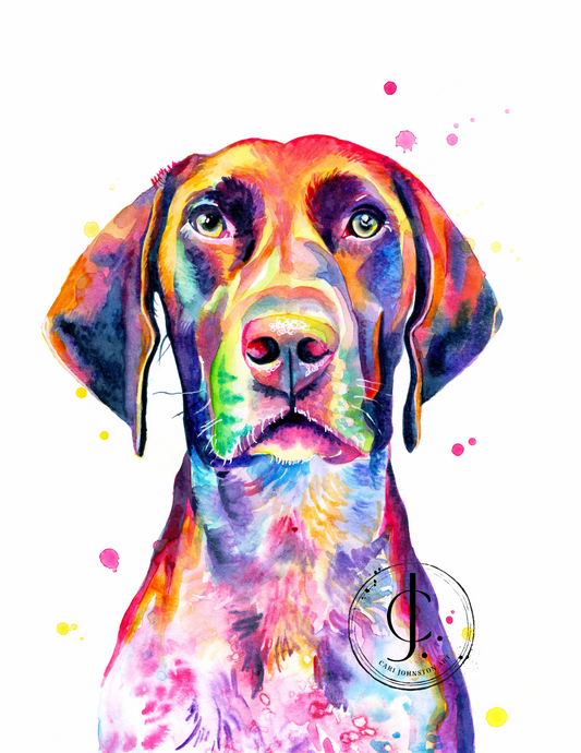 Leo the German Shorthaired Pointer Print