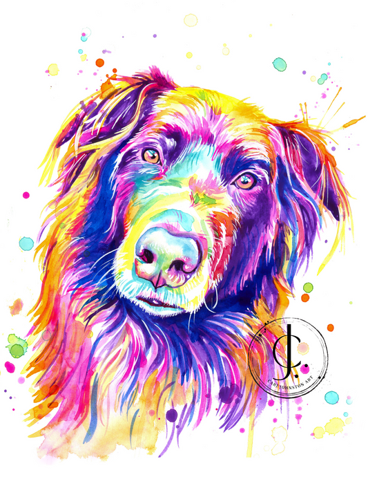 Collie Print
