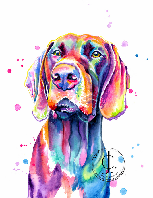 German Shorthaired Pointer Print