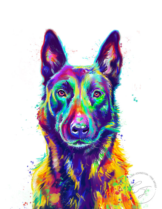 Belgian Malinois Print