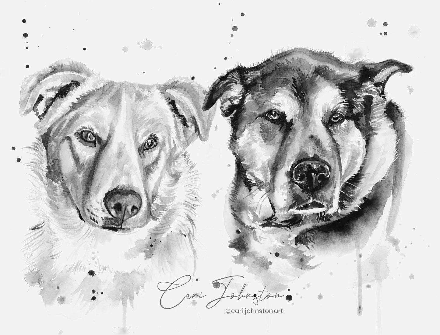 Custom Black and Grey Pet Portrait