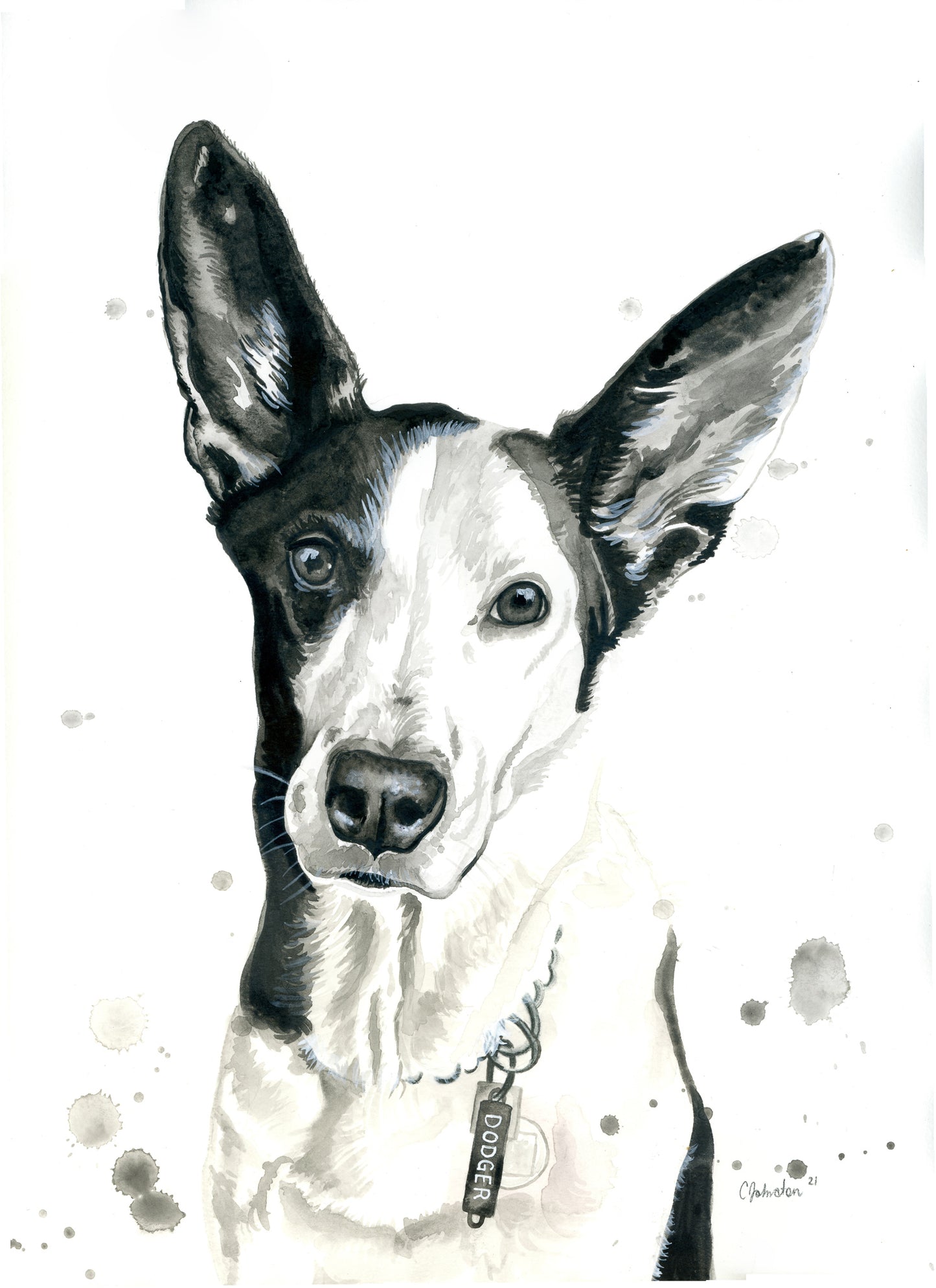 Custom Black and Grey Pet Portrait
