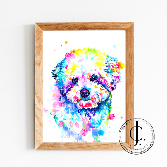 Bichon Frise Print