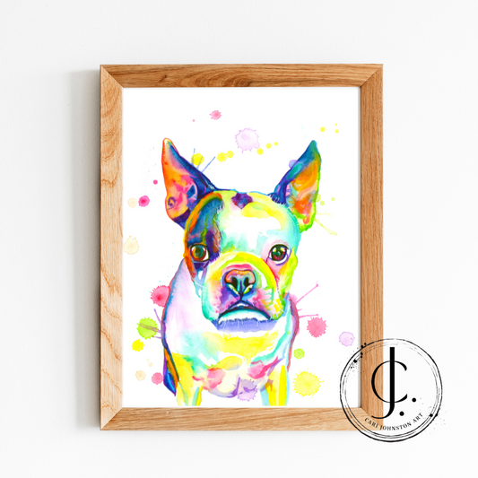 Boston Terrier Print