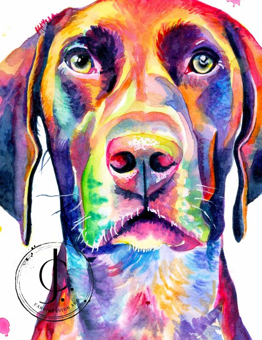 Leo the German Shorthaired Pointer Print