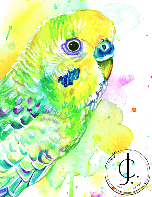Budgie Print