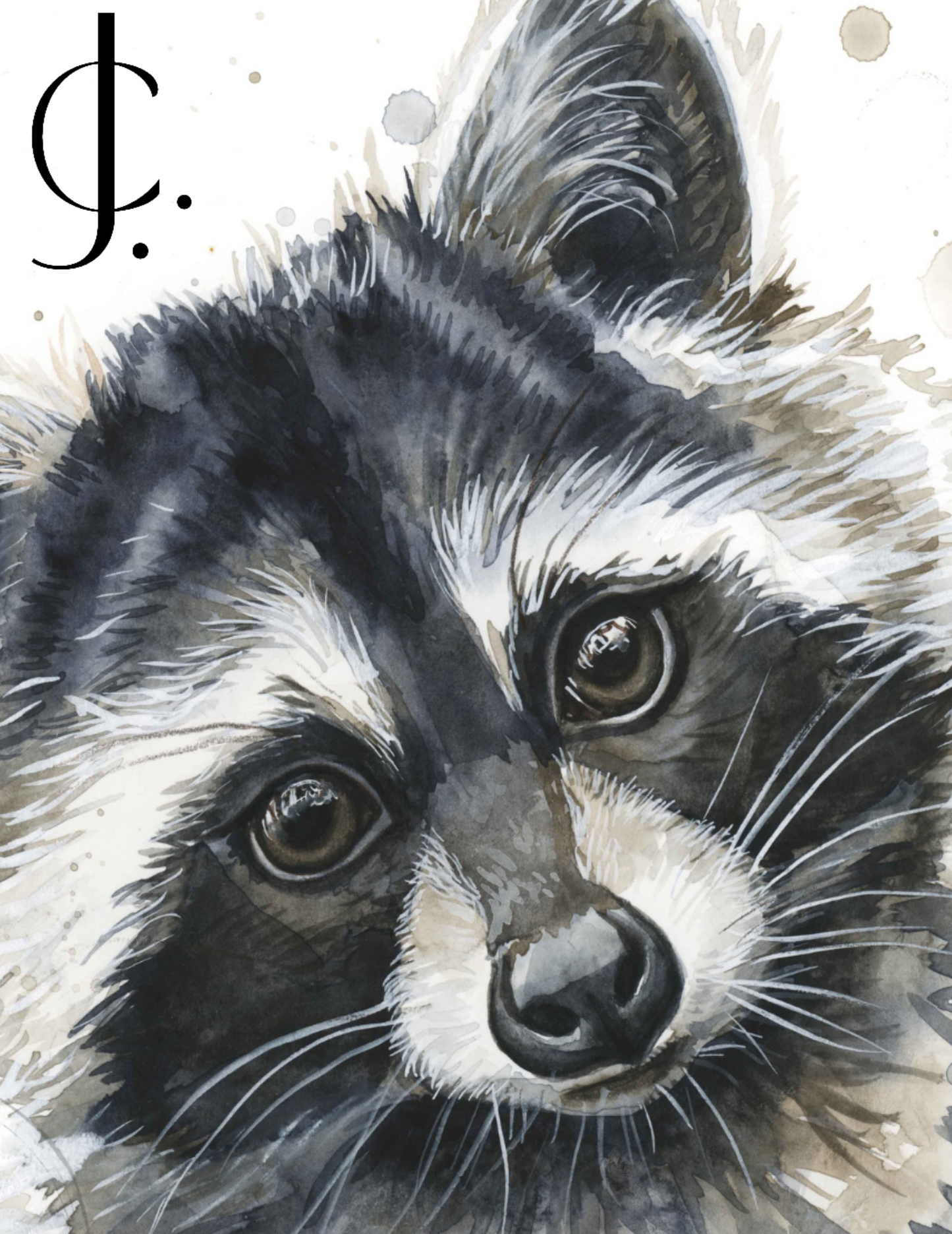 Racoon Print