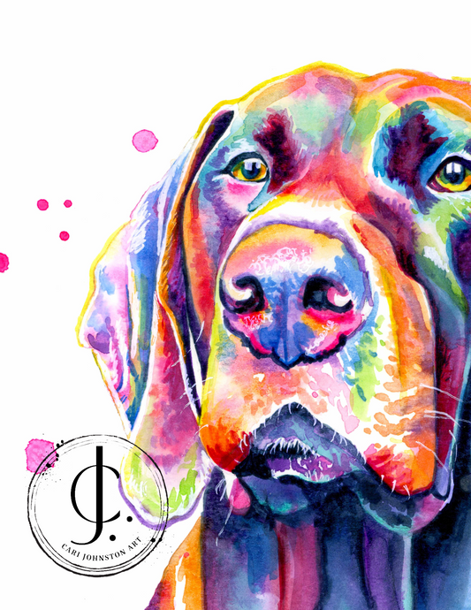 German Shorthaired Pointer Print