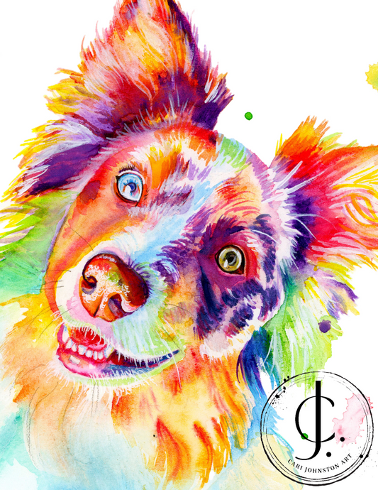 Australian Shepherd Print