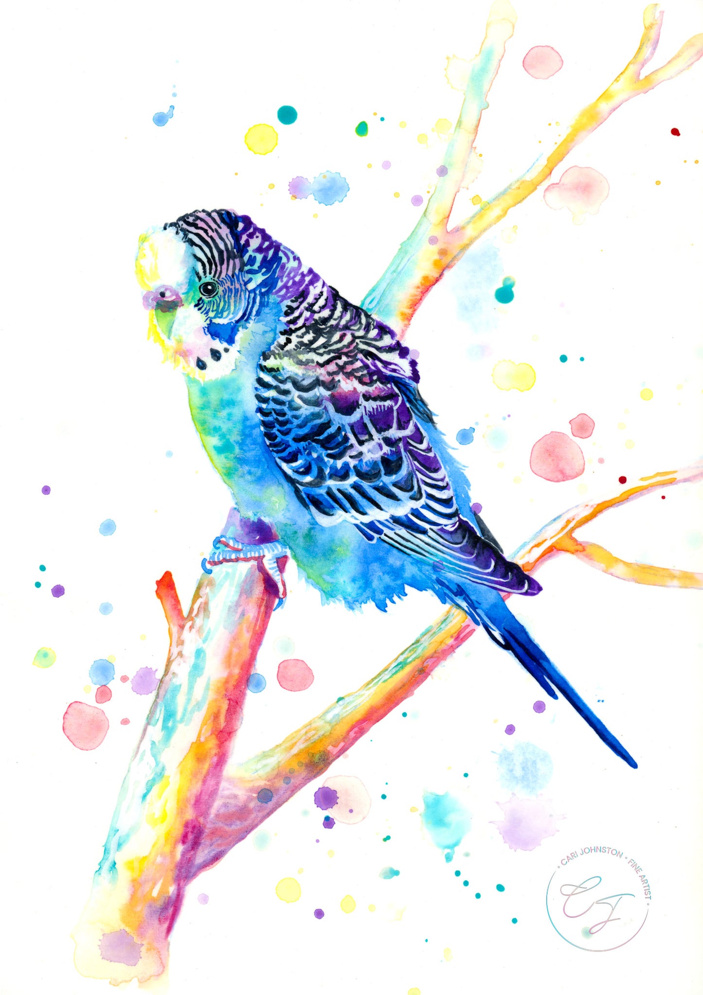 Budgie Print