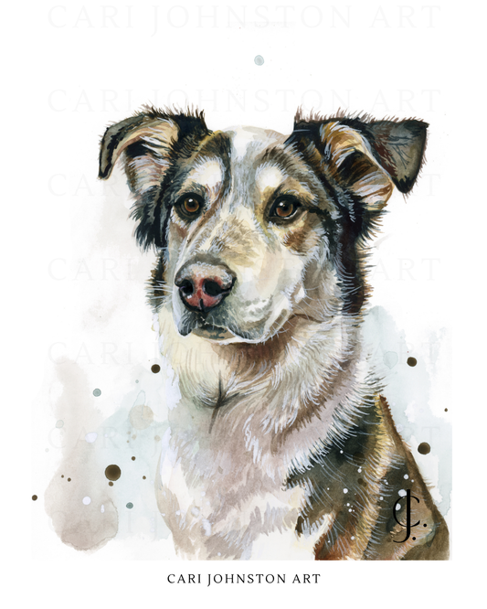 Custom Pet Portrait