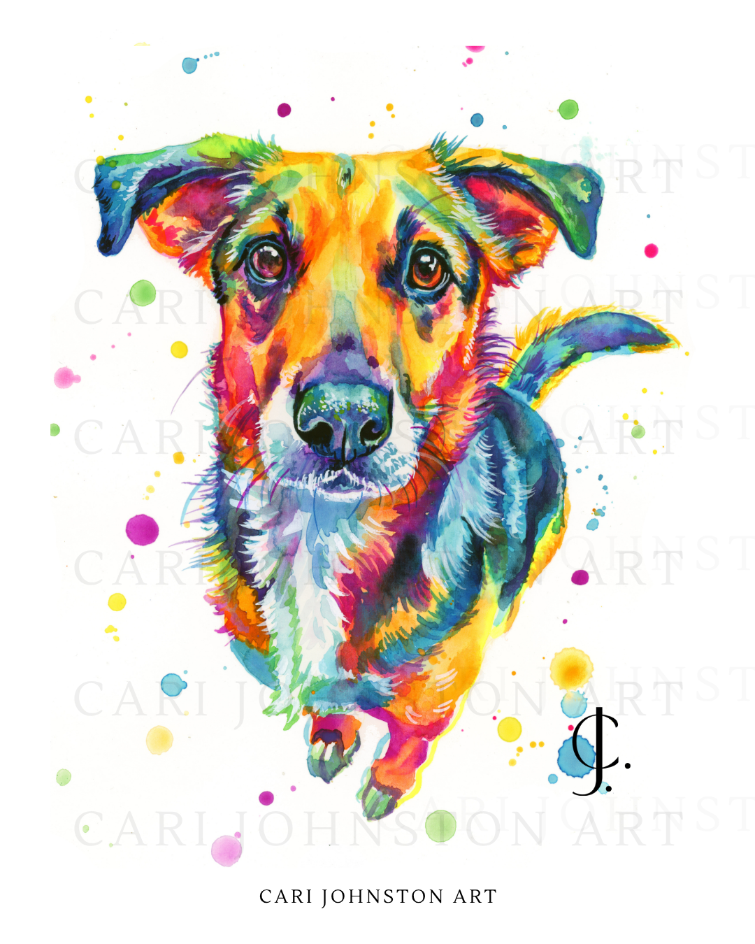 Custom Colourful Pet Portrait