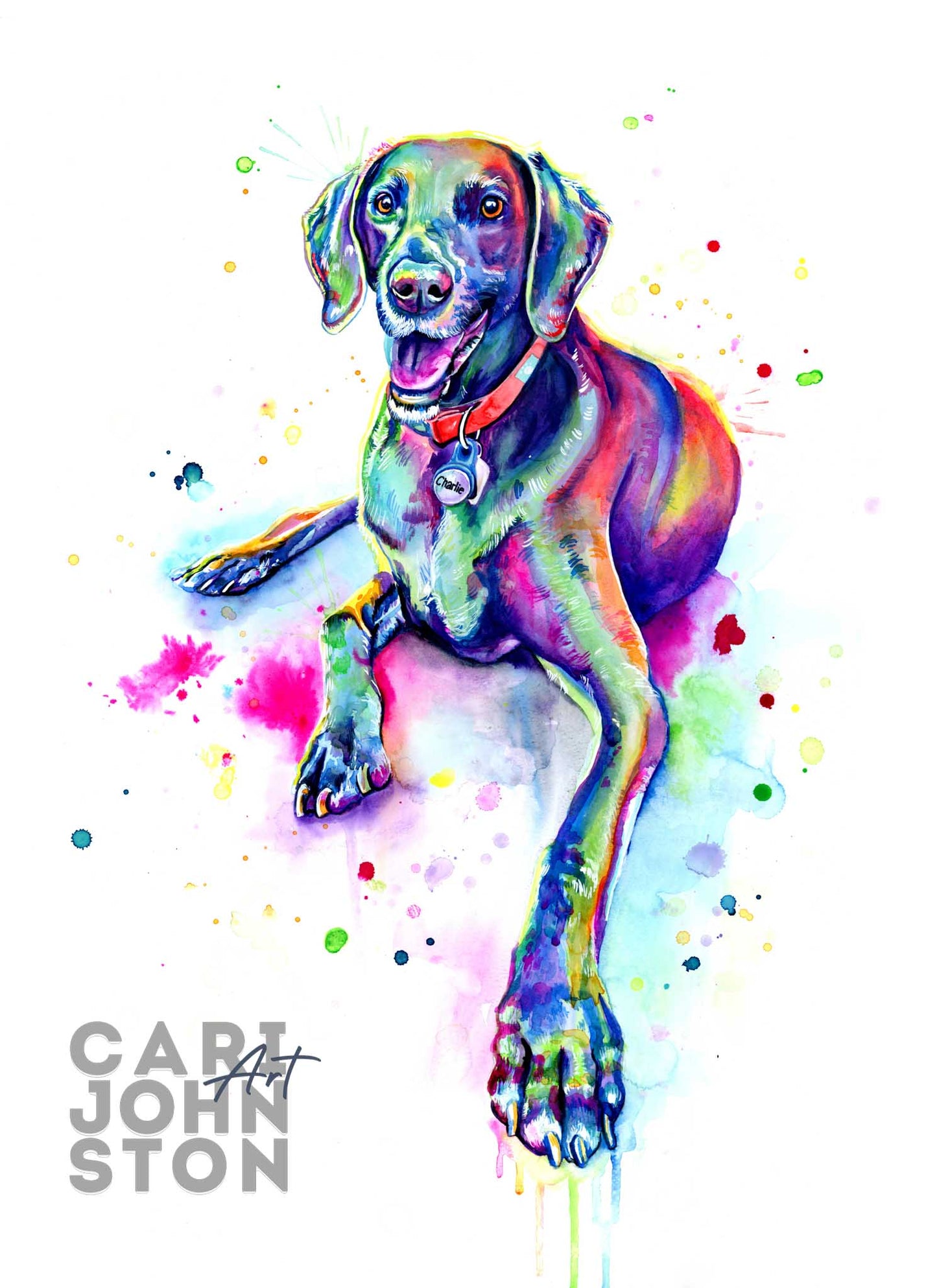 Custom Colourful Pet Portrait