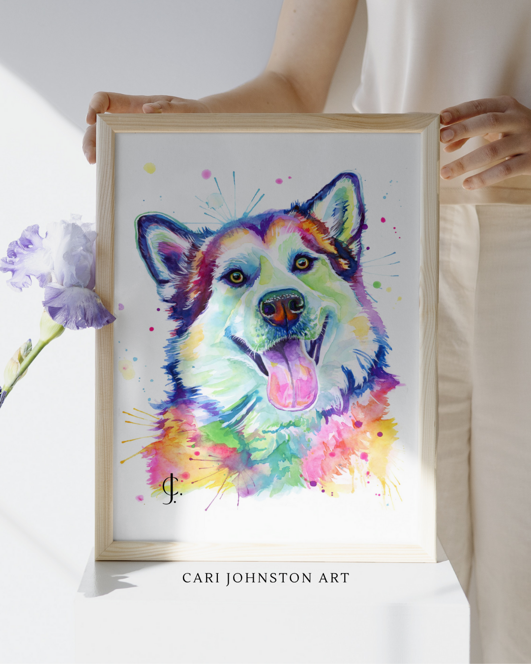 Custom Colourful Pet Portrait