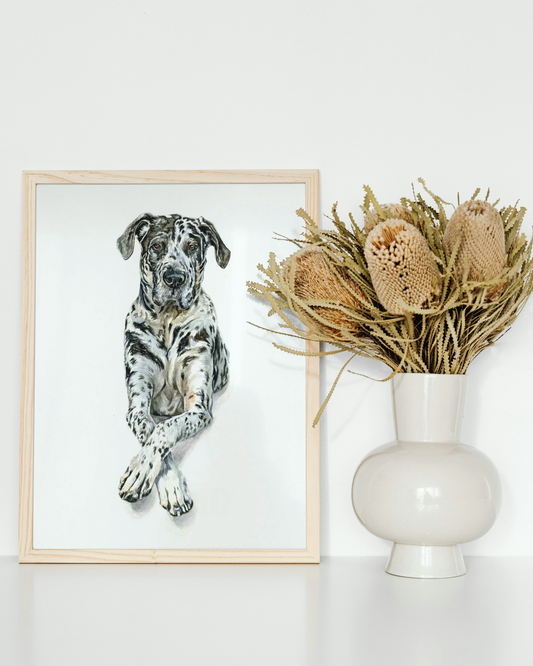 Great dane custom pet portrait
