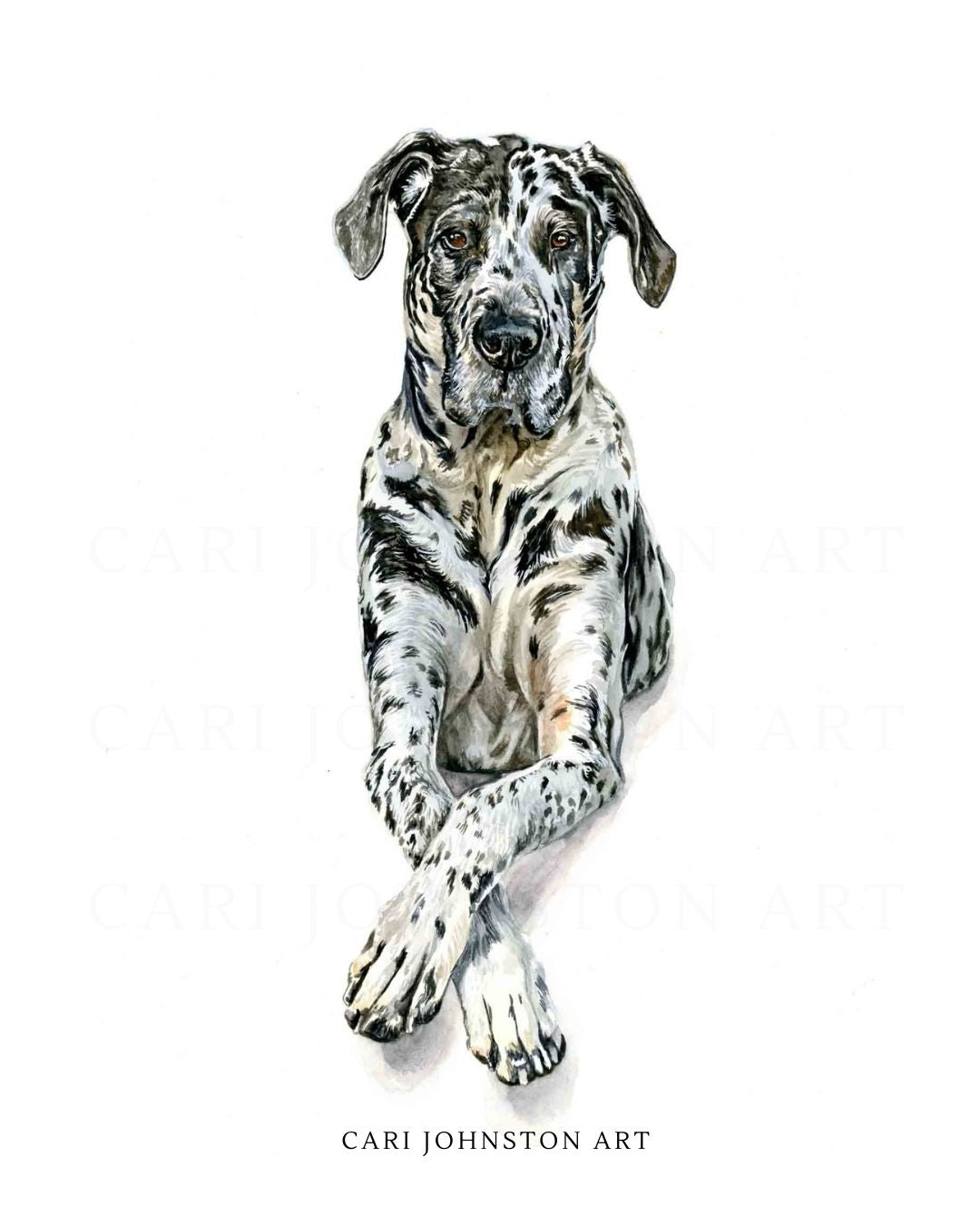 Custom Pet Portrait