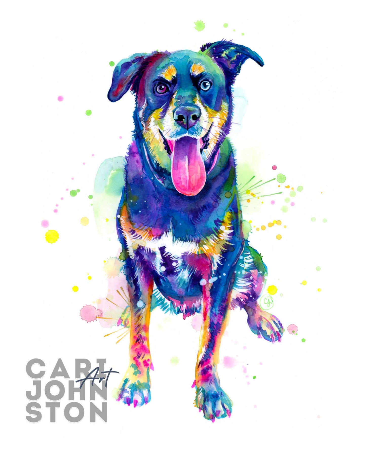 Custom Colourful Pet Portrait