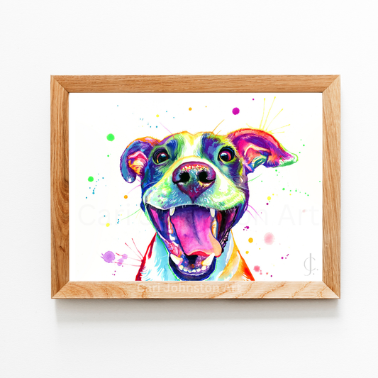 Jasper the American Pitbull Terrier