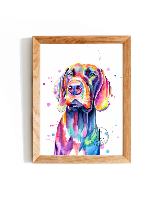 German Shorthaired Pointer Print