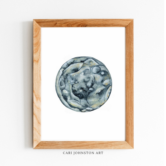 Hand painted watercolor embryo by Cari Johnston