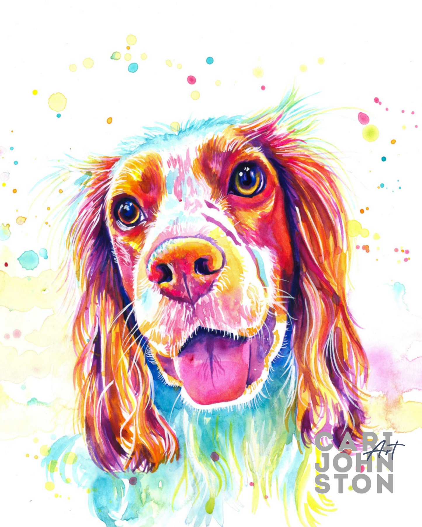 Sprocker Spaniel Print