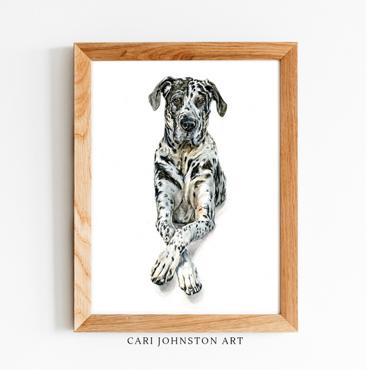 Great Dane Watercolour Print | Harlequin Dog Wall Art by Canadian Artist Cari Johnston