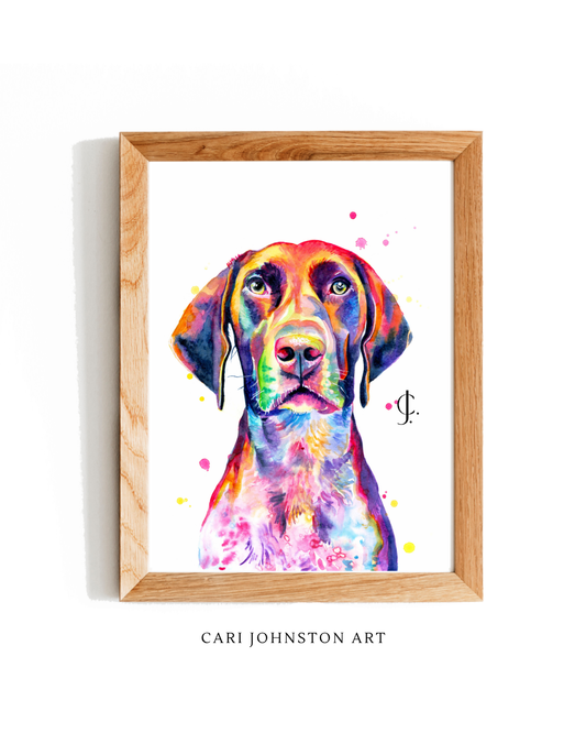 Leo the German Shorthaired Pointer Print