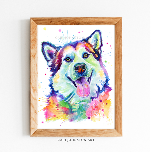 Timber the Alaskan Malamute Print