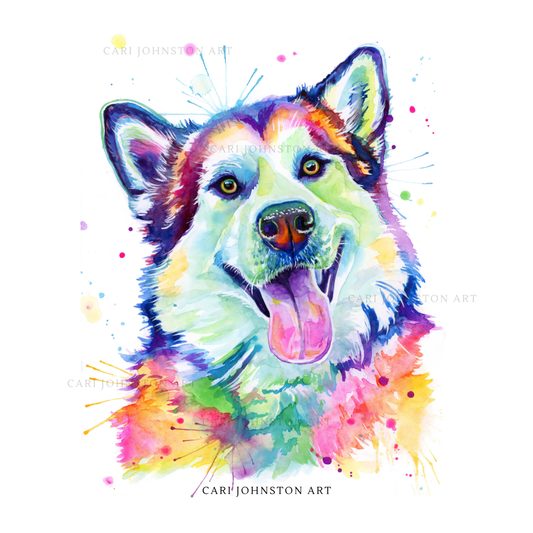 Timber the Alaskan Malamute Print